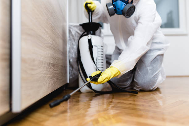 Best Spider Control Near Me  in Oak Hills, OR