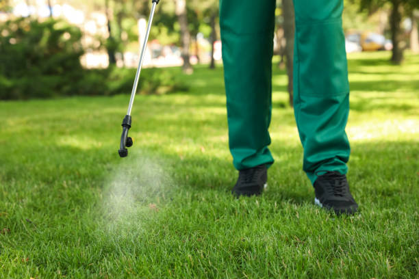 Best Termite Control Services  in Oak Hills, OR