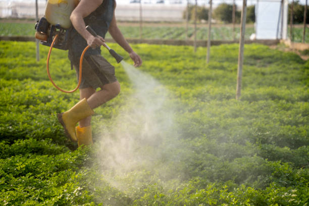 Best Best Pest Control Companies  in Oak Hills, OR