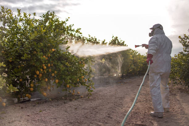 Best Pest Removal Services  in Oak Hills, OR