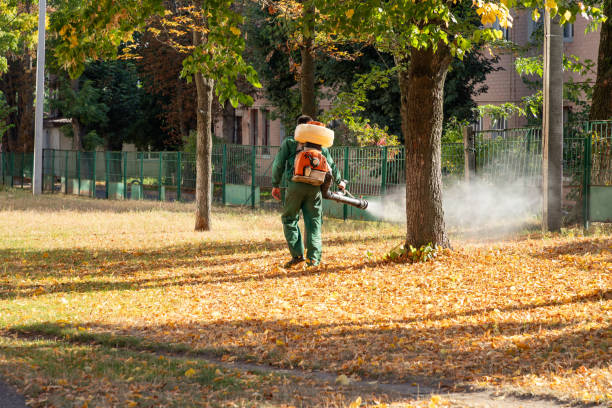 Best Local Pest Control Services  in Oak Hills, OR