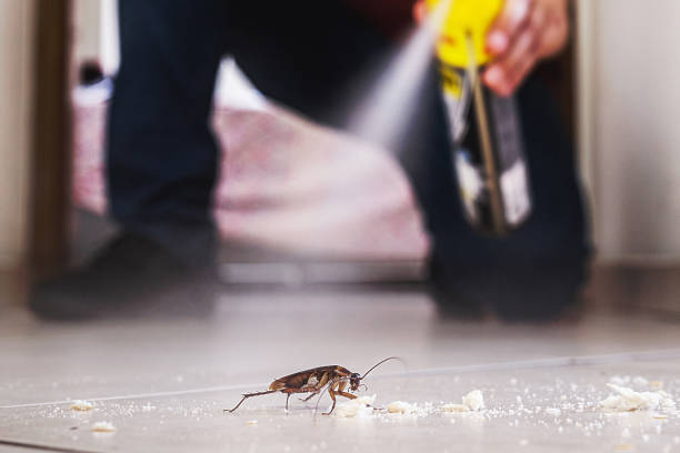 Best Termite Control Services  in Oak Hills, OR